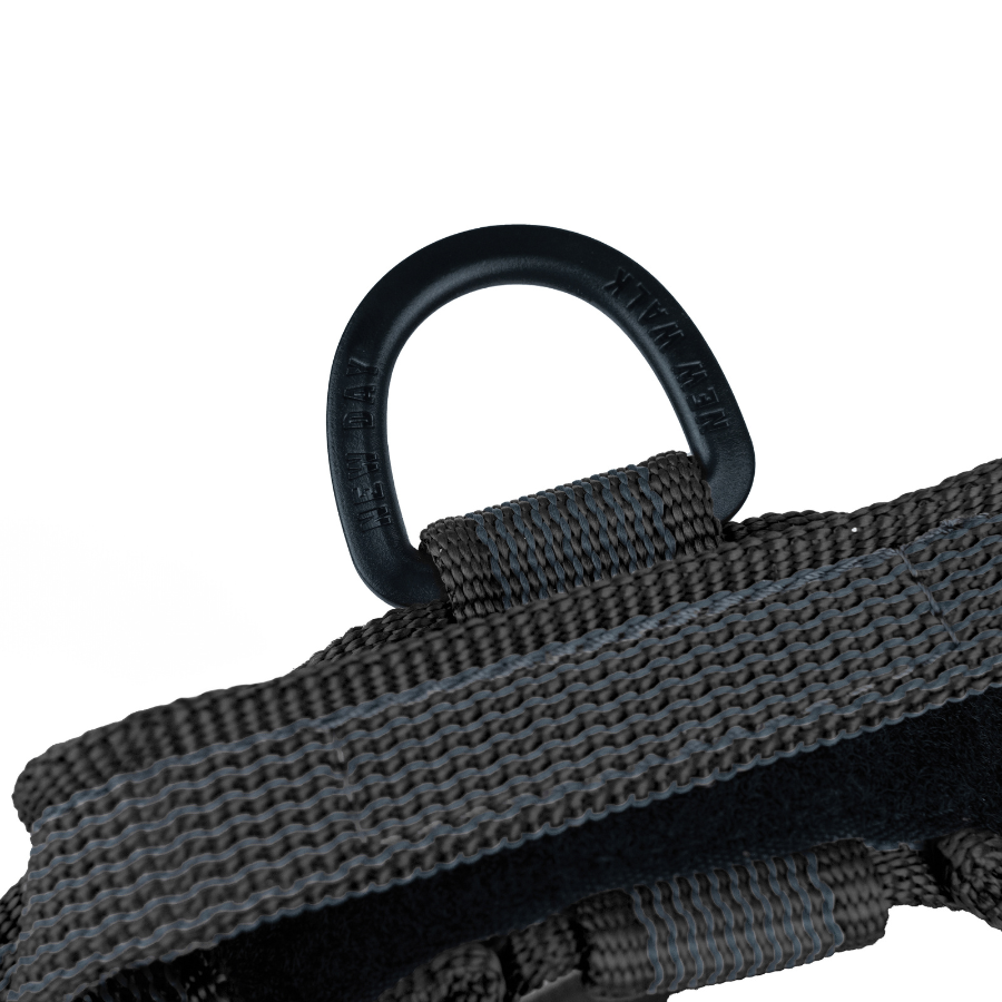 Arn&eacute;s Julius K9 IDC Cinta Negro, , large Imagen numero 3